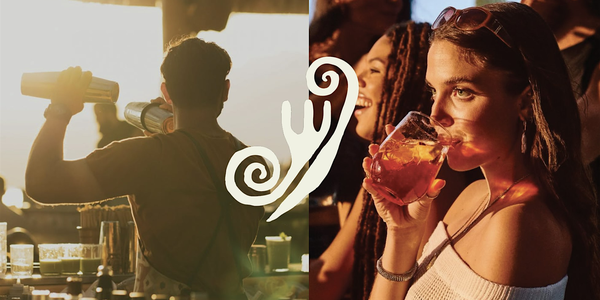 Luxury Sunset River Cruise with DJ/ Musician, Dinner & Cocktails