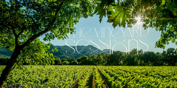 The Vineyard Sessions