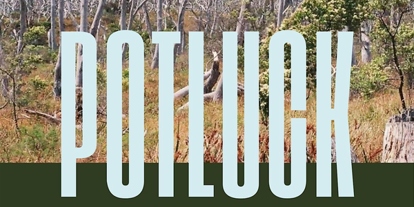 Potluck Album Launch w/ Maggie Alley and The Rayes
