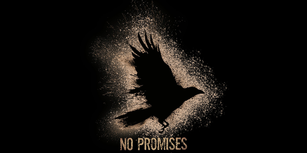 No PROMISES - Live @ Tarwin Lower Hall