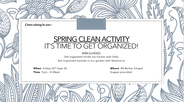 RS spring organizing activity