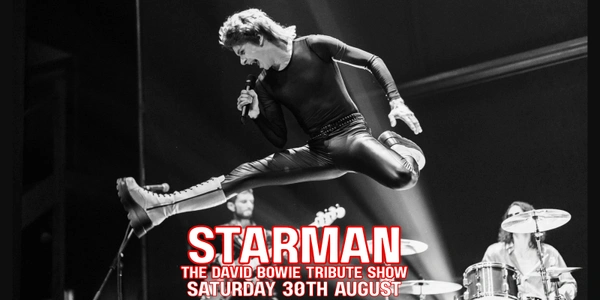 Starman The David Bowie Tribute @ The Golden Vine Hotel Bendigo