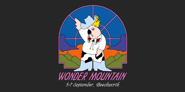 Wonder Mountain 25