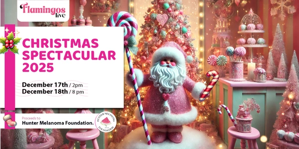 Christmas Spectacular Charity Lunch