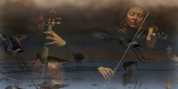 Life on Land's Edge - Deloraine