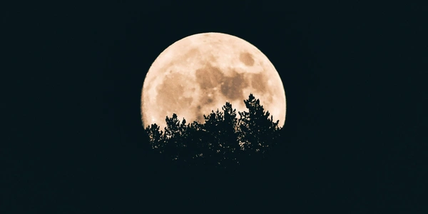 Full Moon Drum Circle
