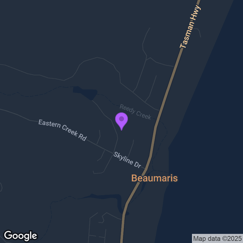 Secret House Concert